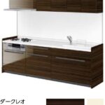 ダークレオ