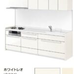 ホワイトレオ