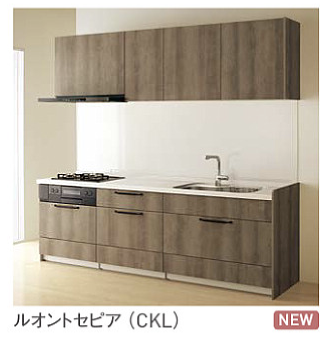 ルオントセピア_class5_ステディア_クリナップ