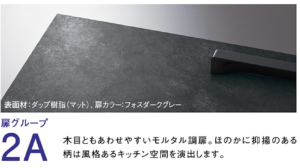 フォスダークグレー_扉詳細